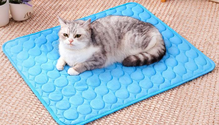 Cooling Pad for Cats and Dogs