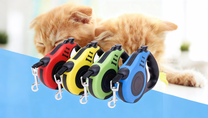 dog lead