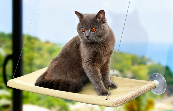 Cat Window Hammock
