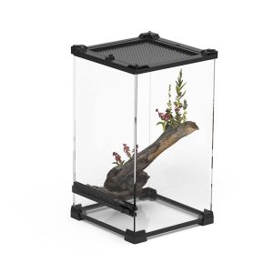 Tropical Amphibian Rainforest Tank, Lizard Cage