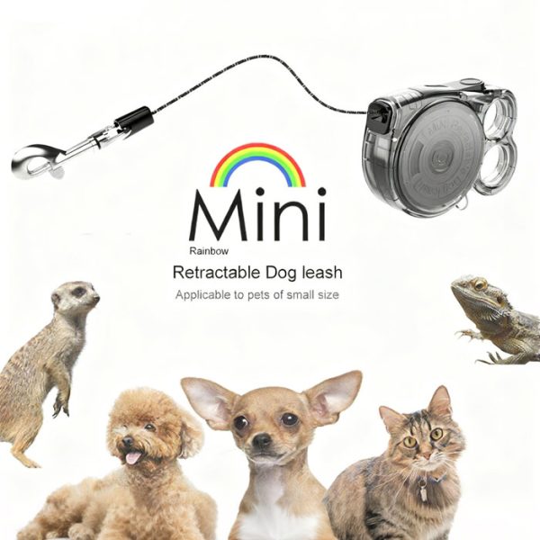 Mini Retractable Dog Lead for Small Pets