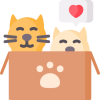 kitten.png